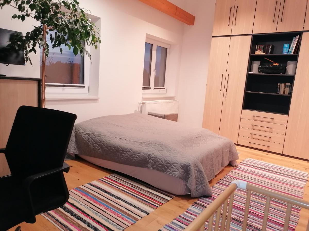 グミュントHaus Larissaアパートメント エクステリア 写真